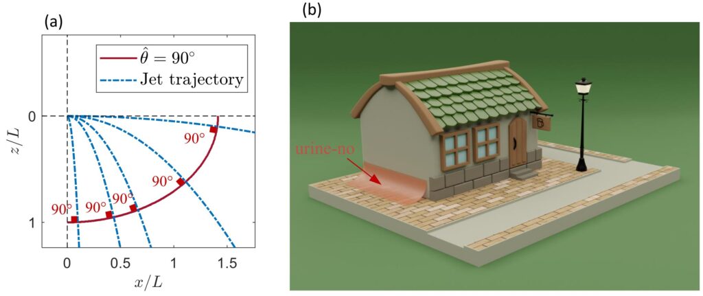 Die isogonale Kurve (durchgezogene rote Linie) sorgt für einen Auftreffwinkel von 90° und könnte in der „Urine-no“ genannten Rinne an der Außenseite von Gebäuden das öffentliche Urinieren vergällen. Bild: University of Waterloo / Weber State University